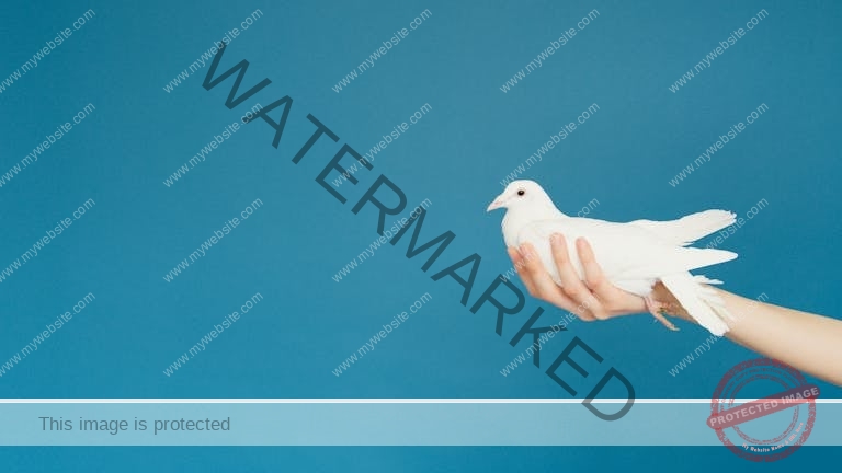 A serene white dove resting on a hand, symbolizing peace, with blue backdrop.